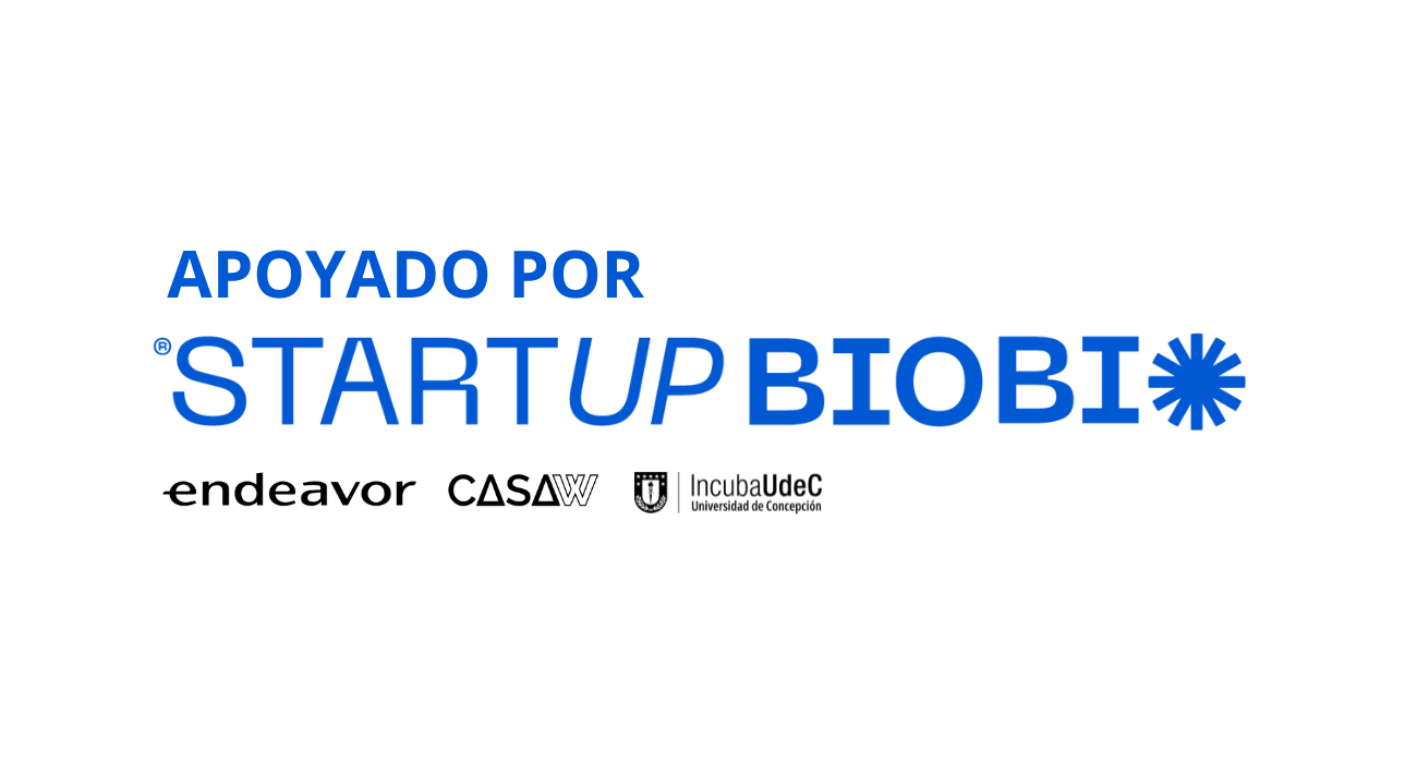 Startup Biobío